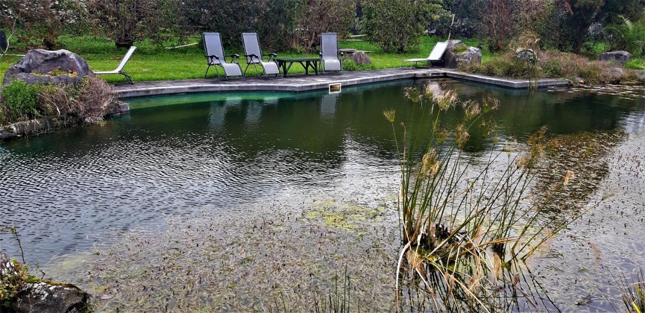 Quinta Do Bom Despacho Ponta Delgada Exterior foto