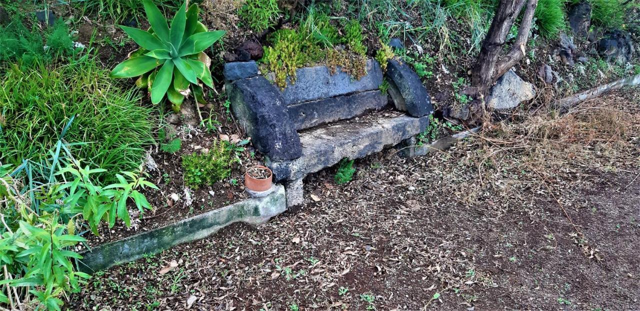 Quinta Do Bom Despacho Ponta Delgada Exterior foto