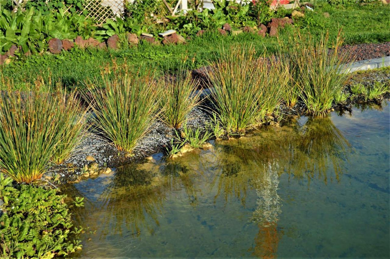 Quinta Do Bom Despacho Ponta Delgada Exterior foto