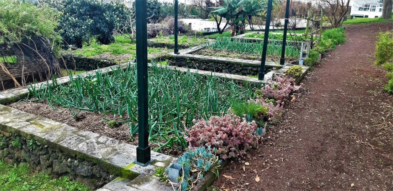 Quinta Do Bom Despacho Ponta Delgada Exterior foto
